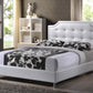 Carlotta Black Modern Bed - Upholstered Headboard