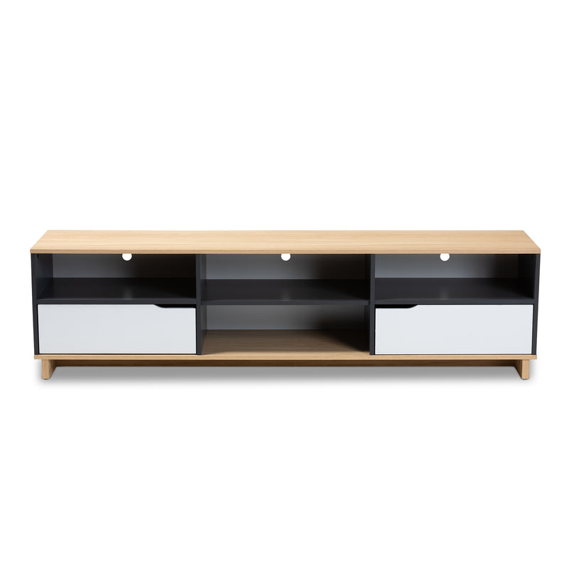 Reed Mid-Century Modern 2-Drawer Wood TV Stand in Multicolor with Storage and Stylish Design