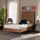 Noela Twin Size Platform Bed - Mid-Century Modern Walnut Brown Wood, Stylish and Durable Bedroom Furniture