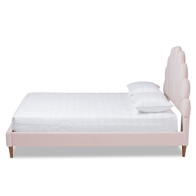 Odille Queen Size Platform Bed Modern Glam Light Pink Velvet Upholstered with Walnut Brown Wood Seashell Shaped Design