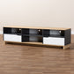 Reed Mid-Century Modern 2-Drawer Wood TV Stand in Multicolor with Storage and Stylish Design