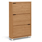 Simms Shoe Cabinet Dark Brown Modern