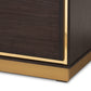 Cormac TV Stand Mid-Century Modern Transitional Dark Brown Finished Wood and Gold Metal 2-Door