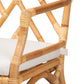 Delta Rattan Dining Chair Modern Contemporary Design with Natural Finish for Stylish Dining Spaces