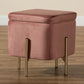 Aleron Ottoman Contemporary Glam Luxe Pink Velvet Fabric Upholstered Gold Finished Metal Storage